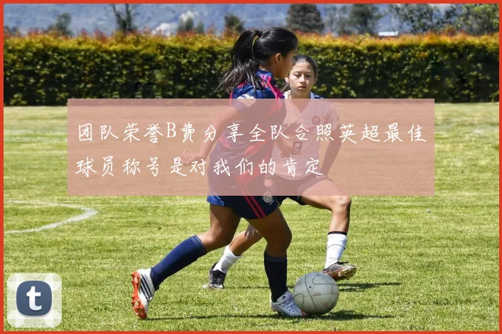 团队荣誉B费分享全队合照英超最佳球员称号是对我们的肯定