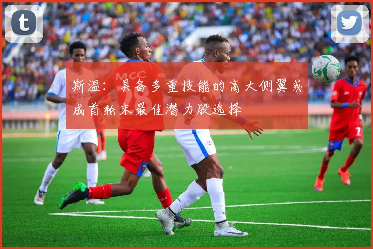 斯温：具备多重技能的高大侧翼或成首轮末最佳潜力股选择