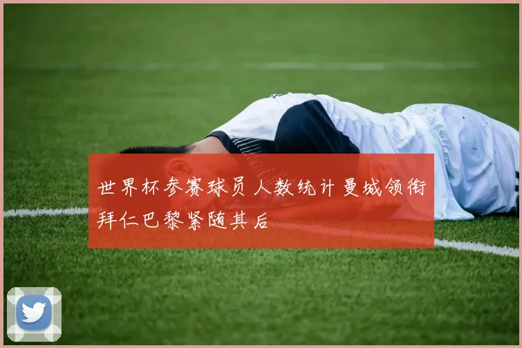 世界杯参赛球员人数统计曼城领衔拜仁巴黎紧随其后
