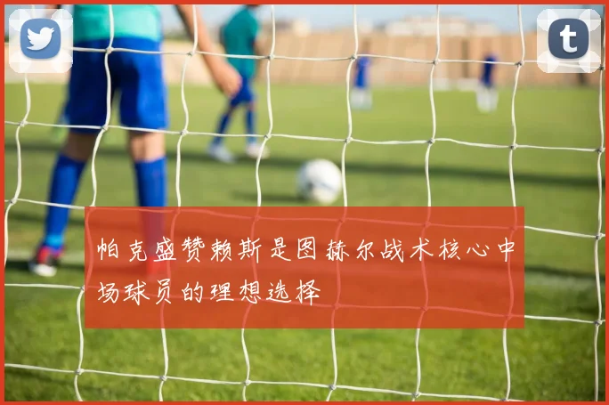 帕克盛赞赖斯是图赫尔战术核心中场球员的理想选择